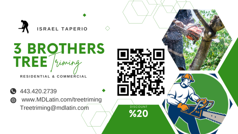 Tree Brothers Final 1 768x433